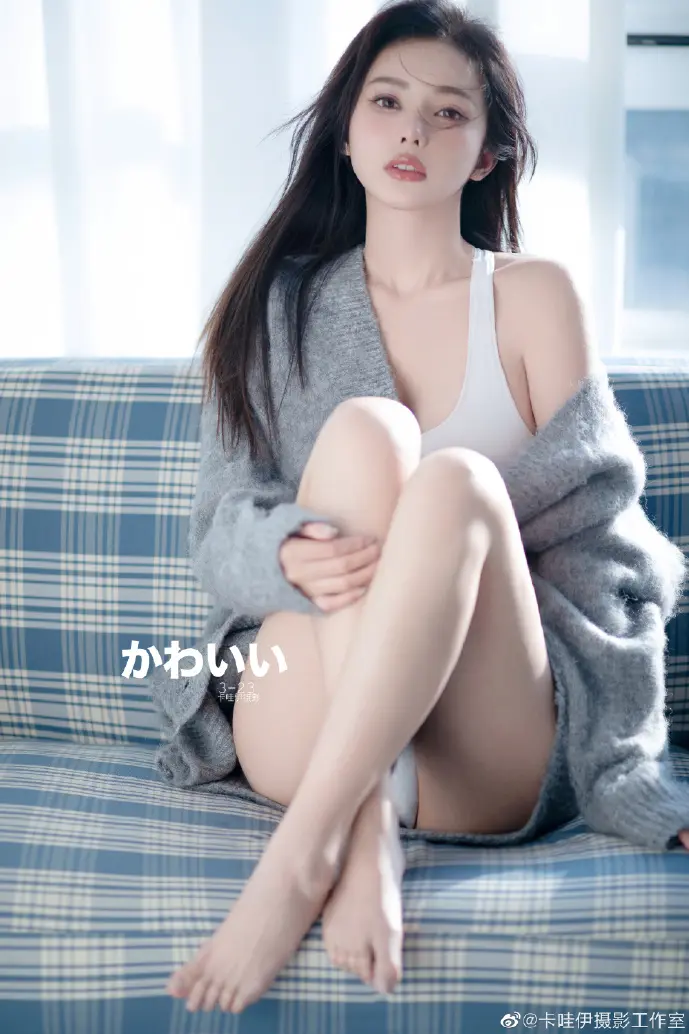 全球编曲软件市场份额分布